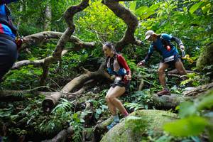 BIB: 
                            <button type="button" onclick="openModal(19407842)" class="btn btn-primary btn-sm float-right btn-popup" data-toggle="modal" data-target=".modal-high-quality">
                        <i class="fas fa-shopping-cart"></i> Add to Cart
                    </button>
                                            <button type="button" onclick="isThisMe(19407842, true)" class="btn btn-success btn-sm float-right btn-popup btn-isme hidden" data-toggle="tooltip" data-placement="bottom" title="นี่คือรูปของคุณใช่ไหม คลิกที่นี่เพื่อเอาเข้าอัลบั้ม">
                        <i class="fas fa-plus"></i> Add to album
                    </button>
                    <button type="button" onclick="isThisMe(19407842, false)" class="btn btn-warning btn-sm float-right btn-popup btn-isnotme hidden">
                        <i class="fas fa-ban"></i> Remove from album
                    </button>